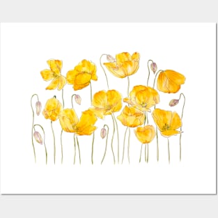 yellow poppy ink and watercolor Posters and Art